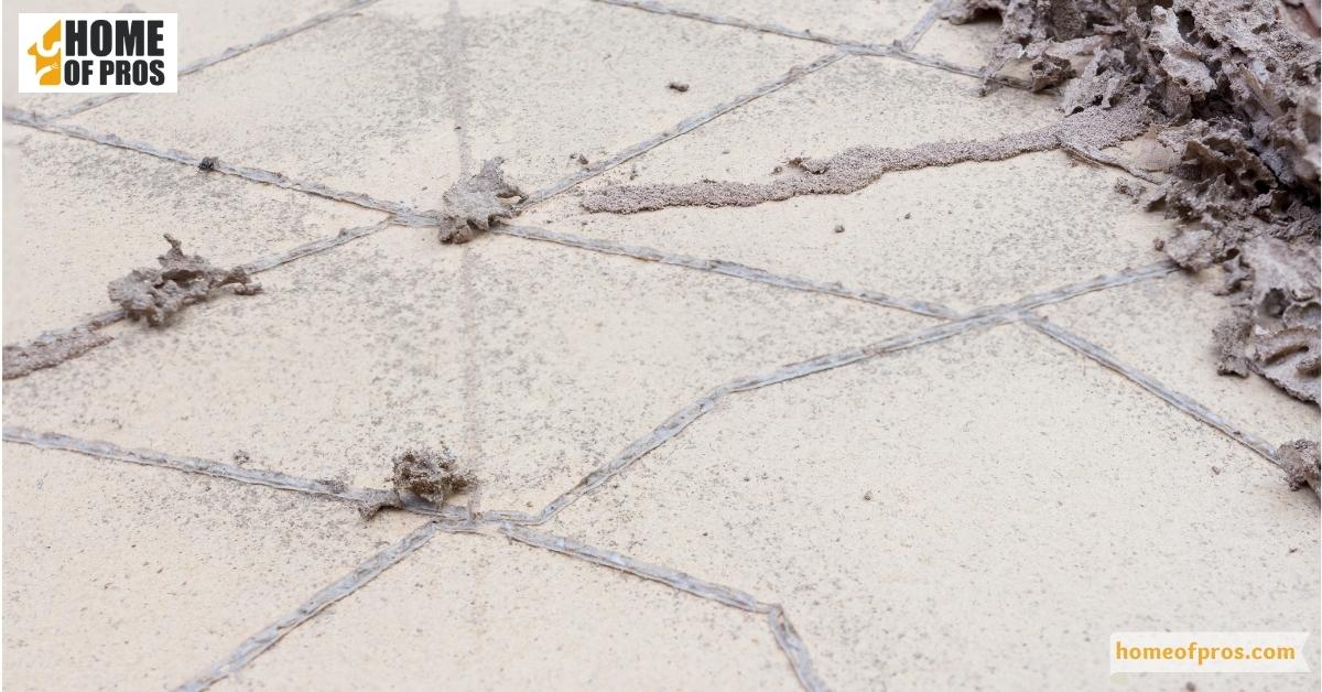 Presence of termite-caused damage in trees and stumps