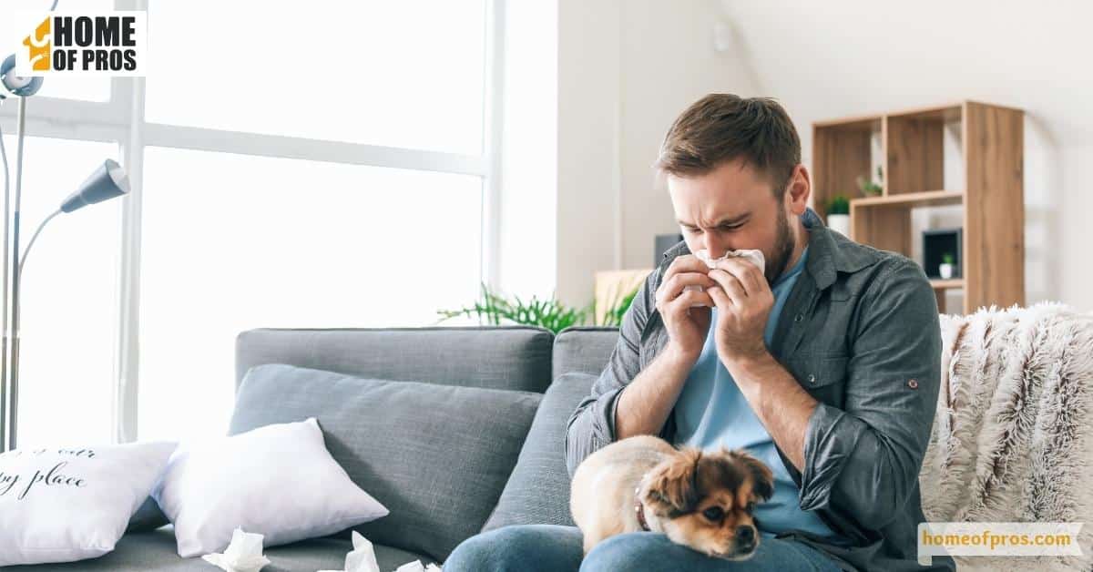 Prevent Common Indoor Allergens