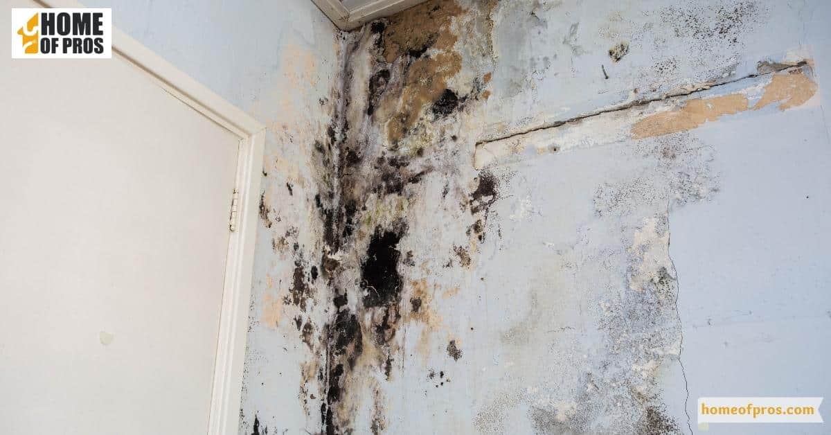 Preventing Property Damage
