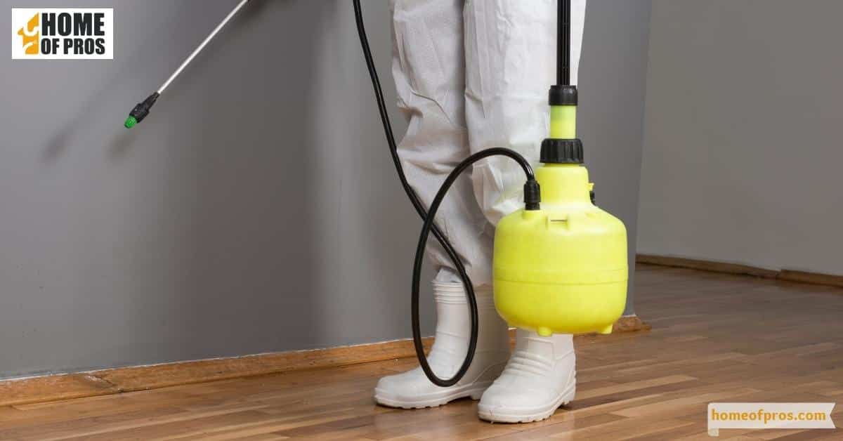 Professional Extermination of House Flies, When Necessary