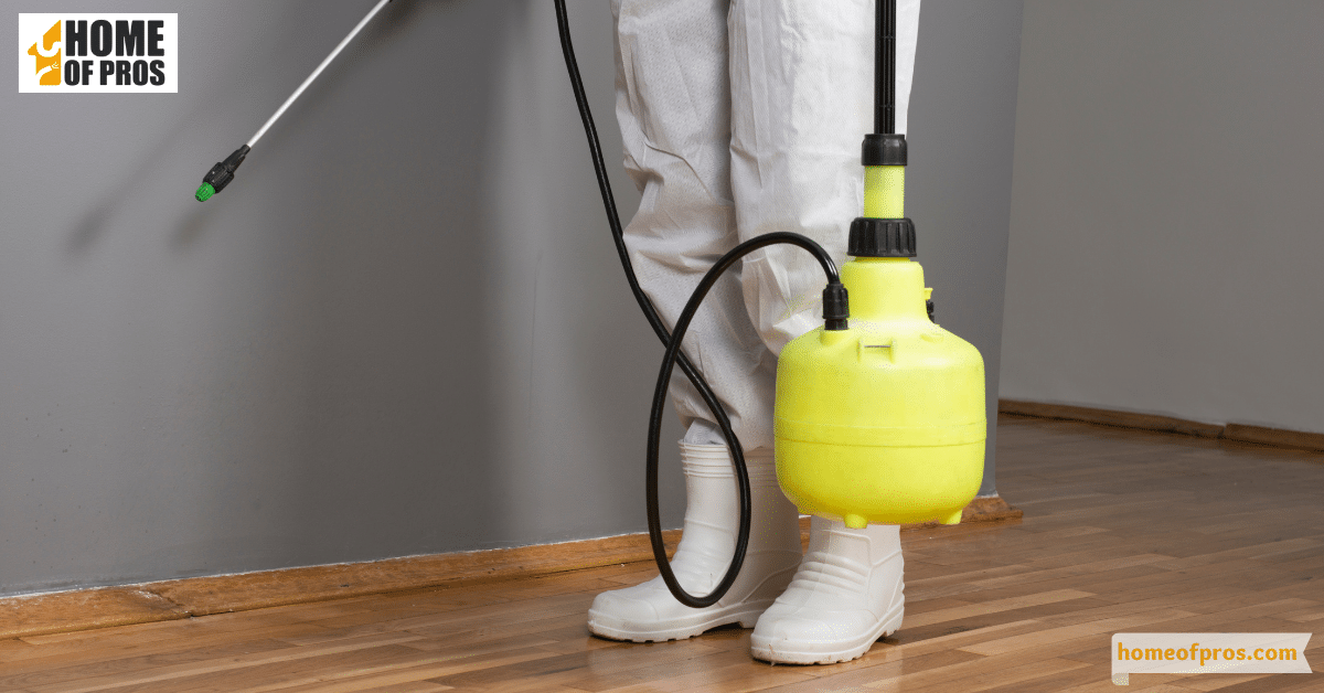 Professional Pest Control Services