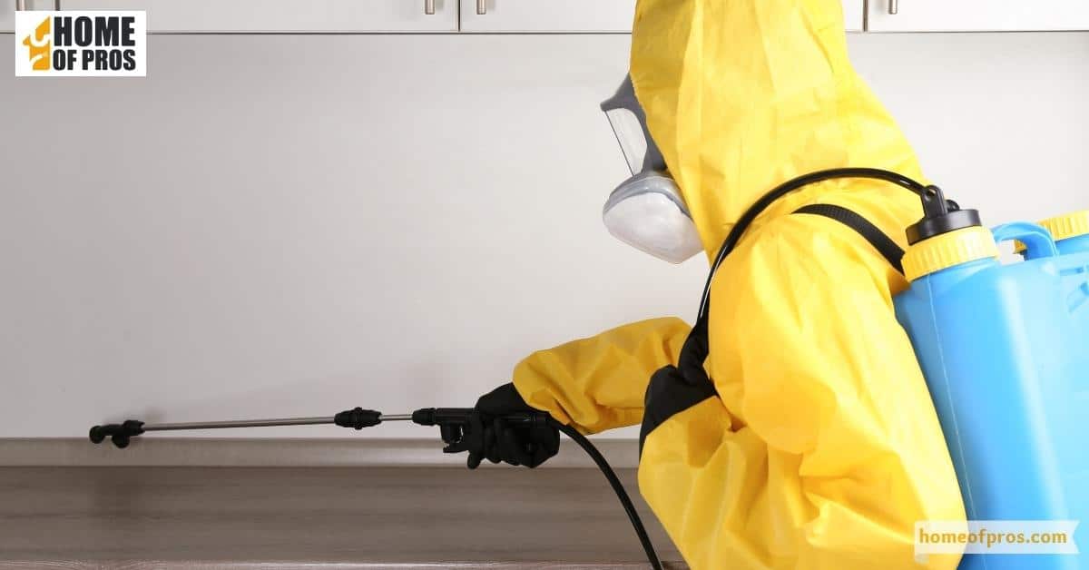 Professional Pest Control Services