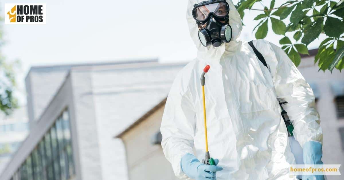 Professional Pest Control Services for Silverfish and Other Common Household Pests