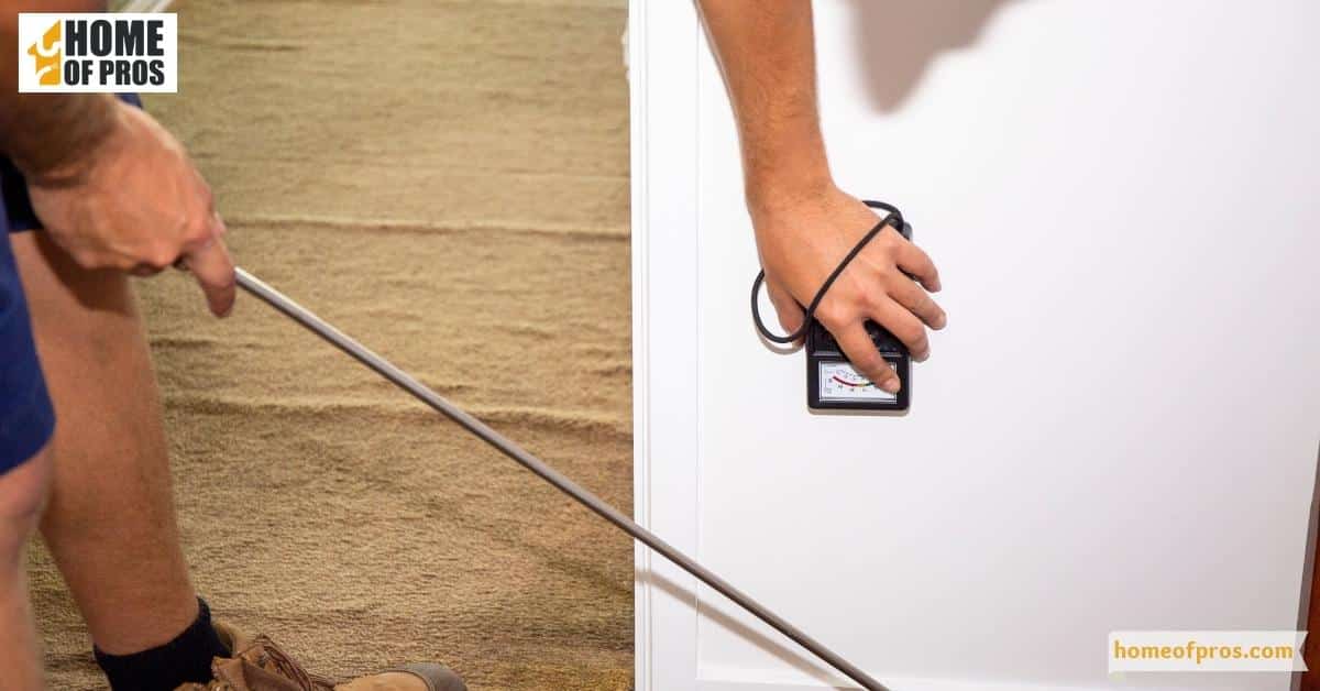 Professional Termite Inspection and Treatment Services