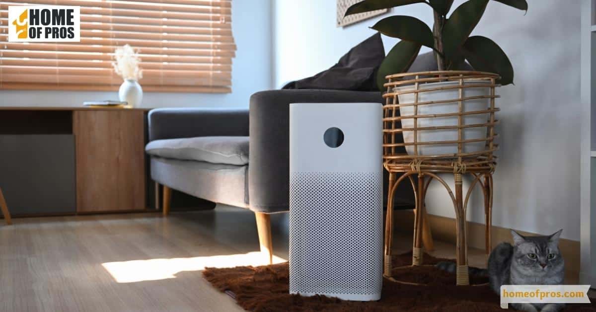 Reducing Moisture in the Room