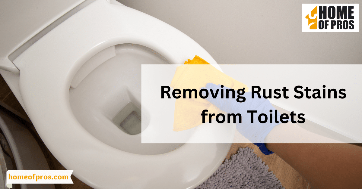 Removing Rust Stains from Toilets