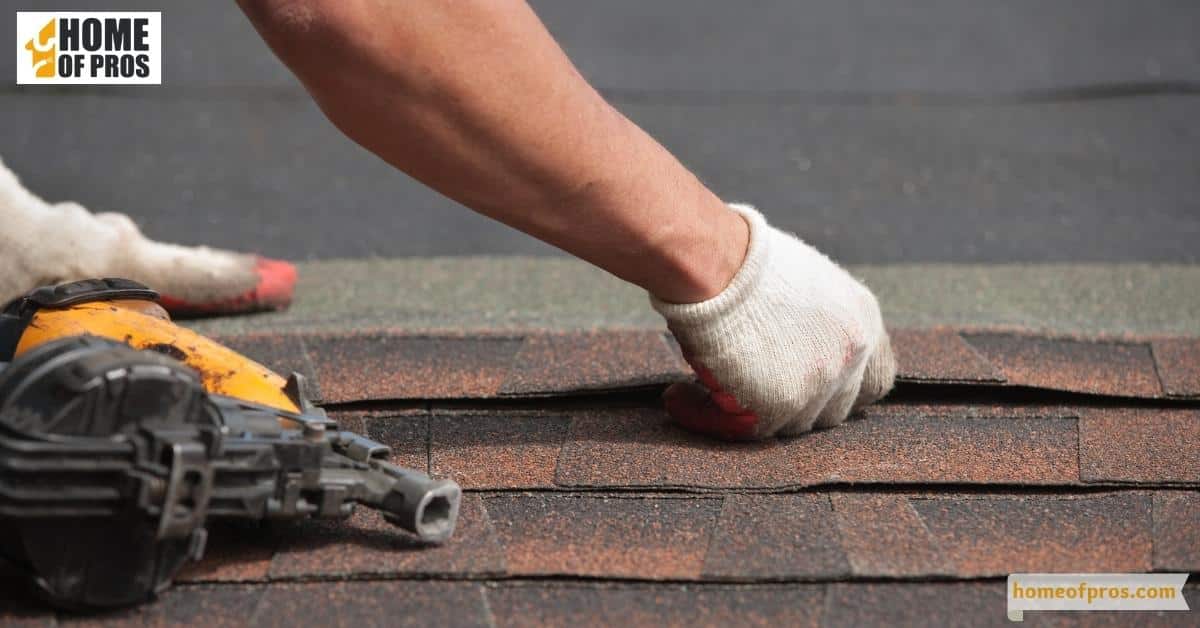 Roof Maintenance