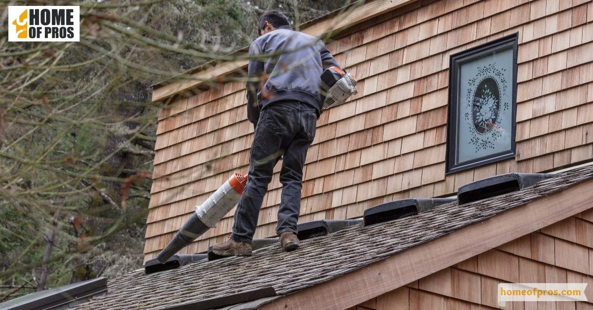 Scrub the Shingles