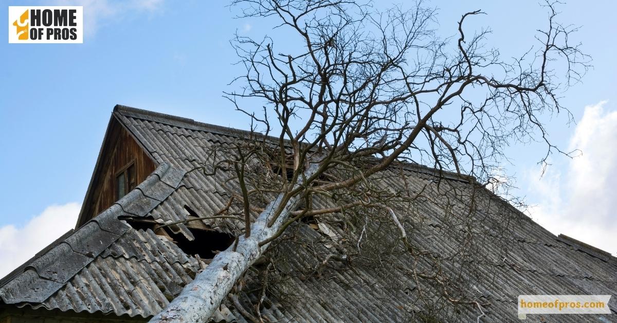 Severe Weather and Natural Disasters
