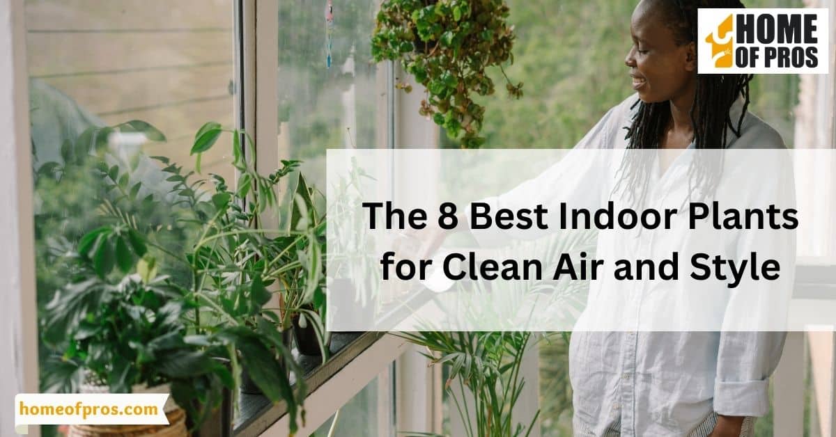 The 8 Best Indoor Plants for Clean Air and Style