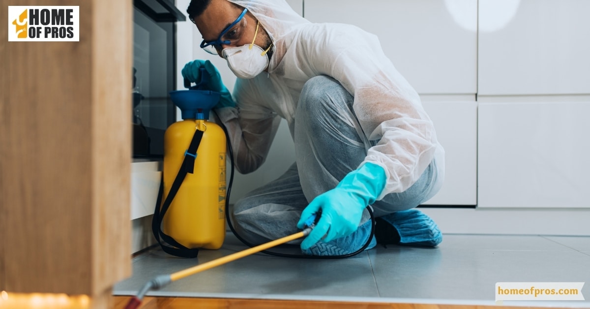 The Benefits of Hiring Professionals for Wildlife Removal and Deterrence