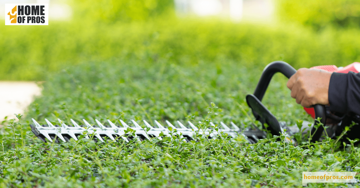 Trim Grass and Shrubs in Your Yard