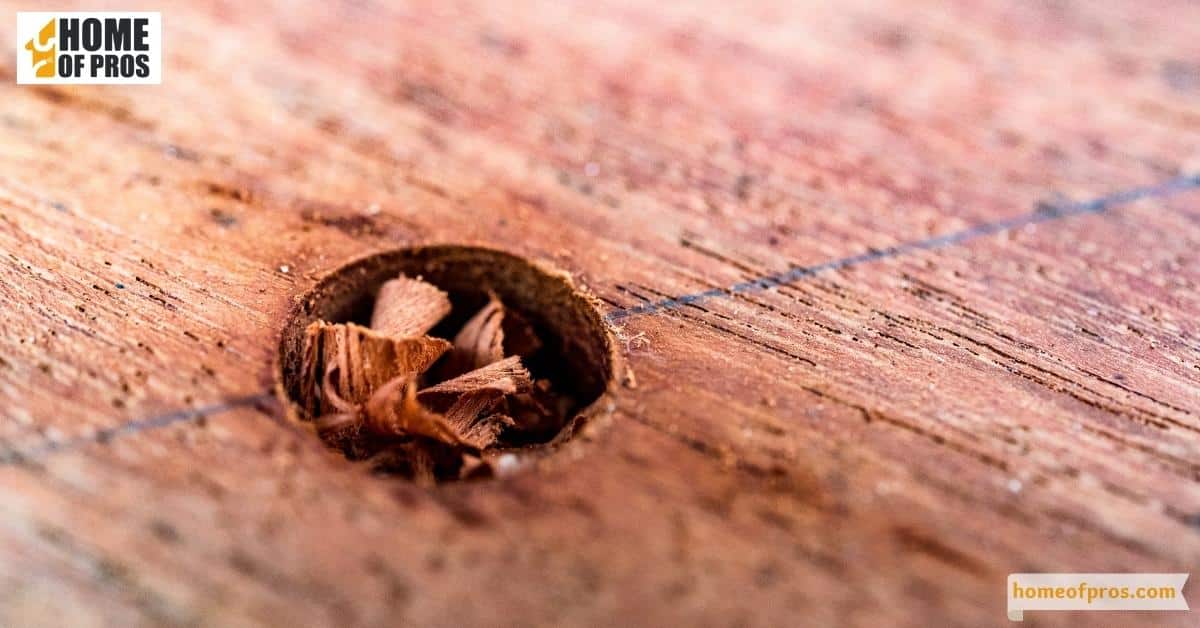 Use a Hardwood Plug