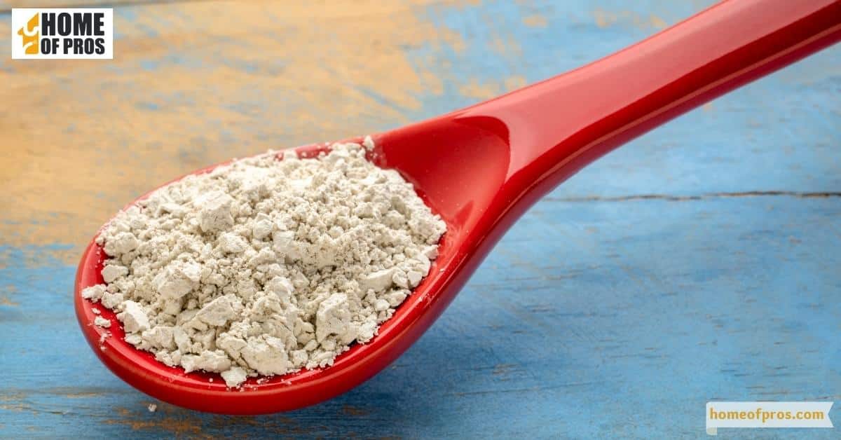 Use Diatomaceous Earth
