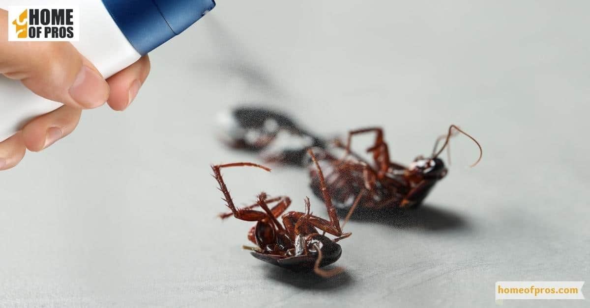 Use insecticidal sprays