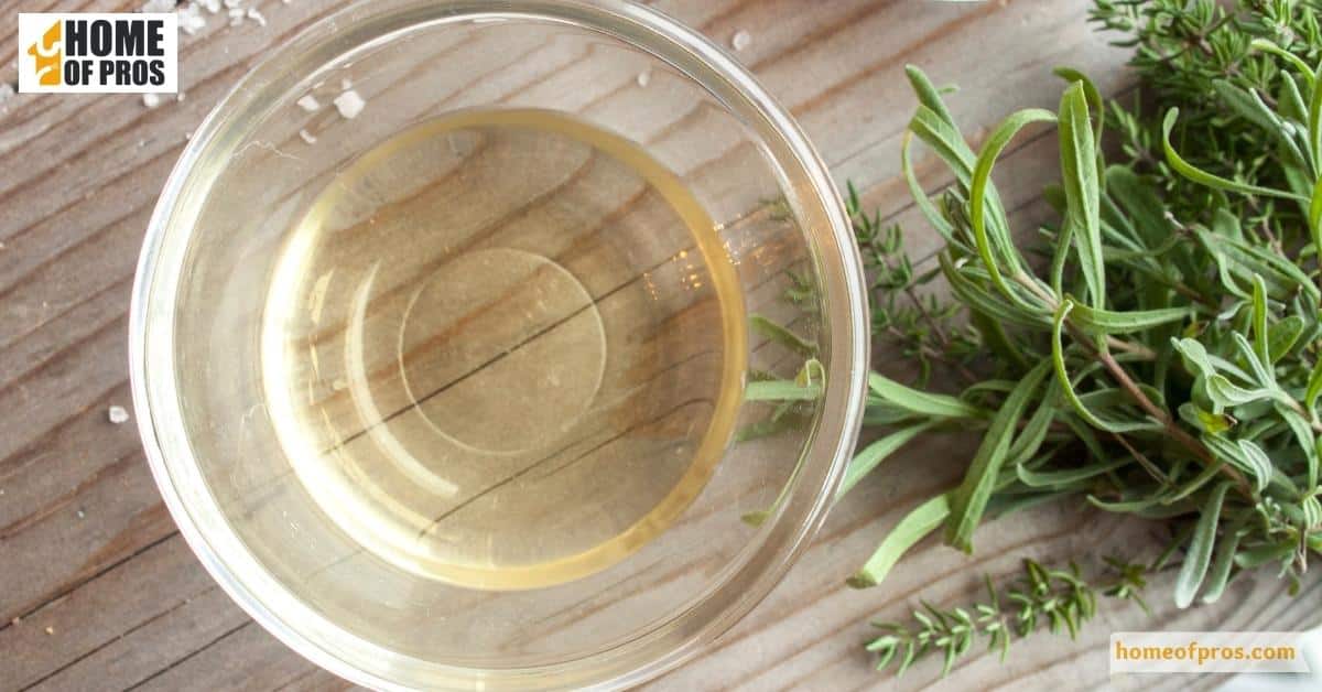 Use Natural Repellents