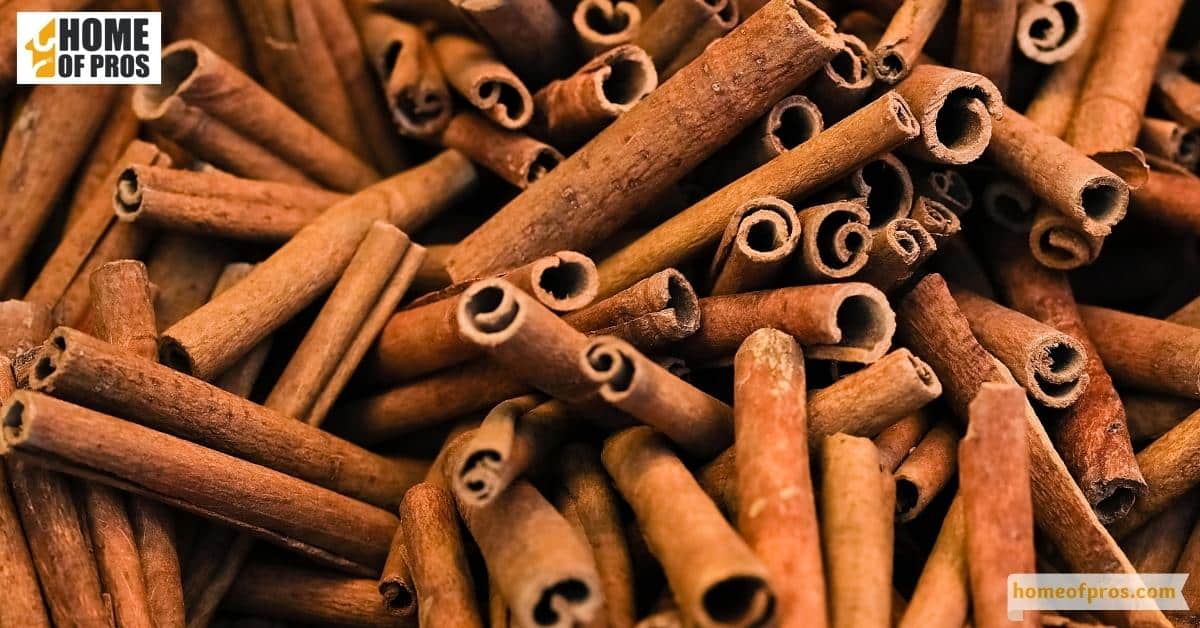 Utilize Cinnamon