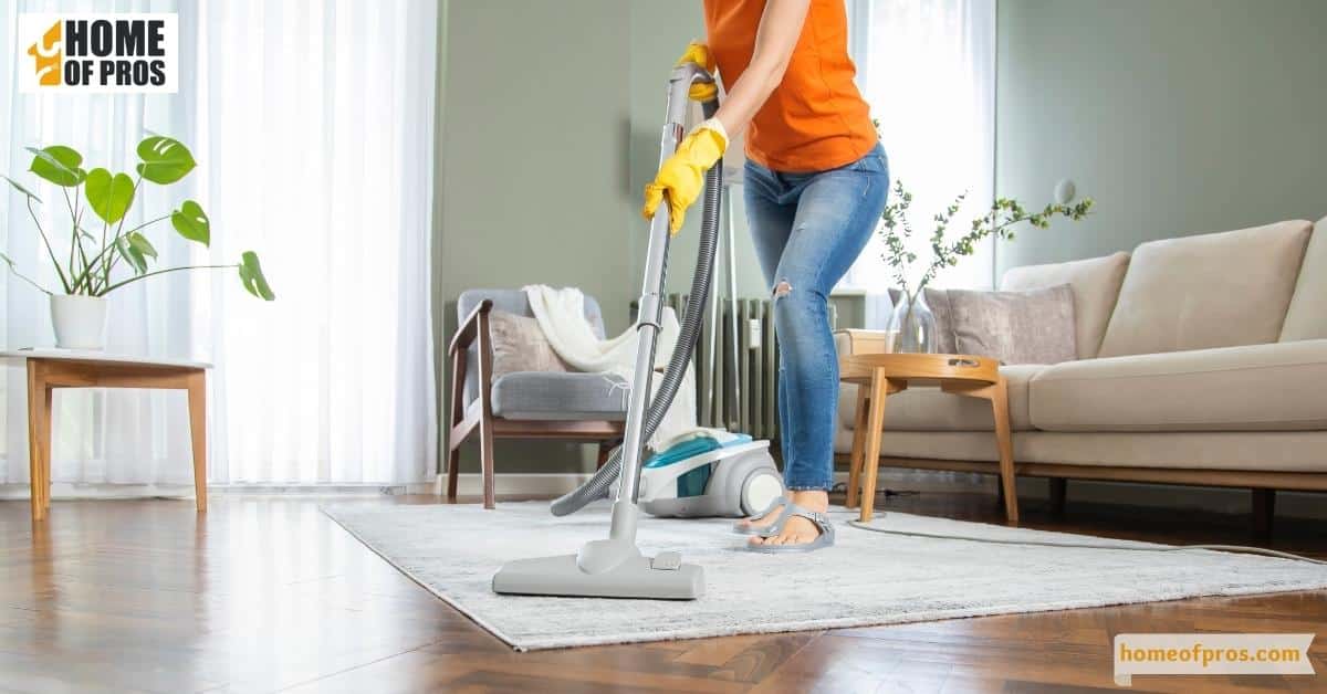 Vacuum regularly