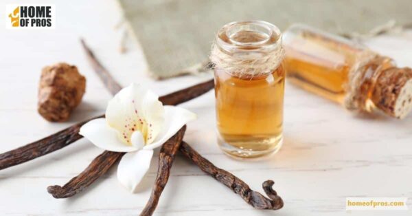Vanilla Extract