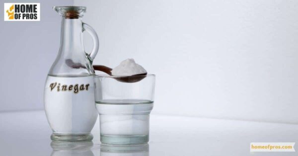 Vinegar