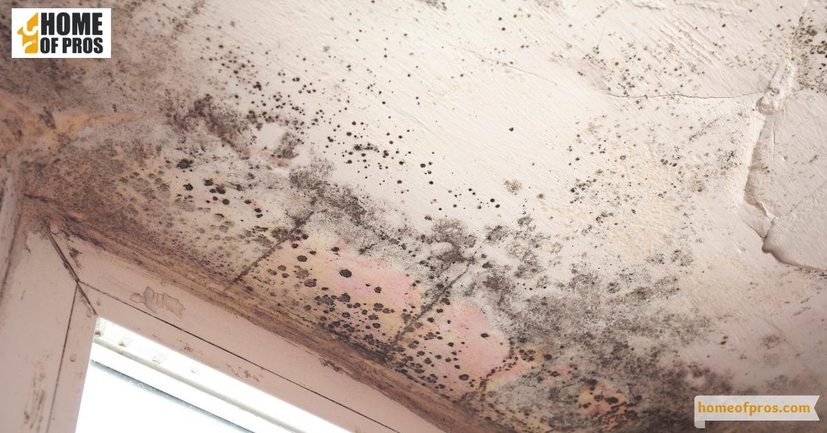 Water Stains in Basement