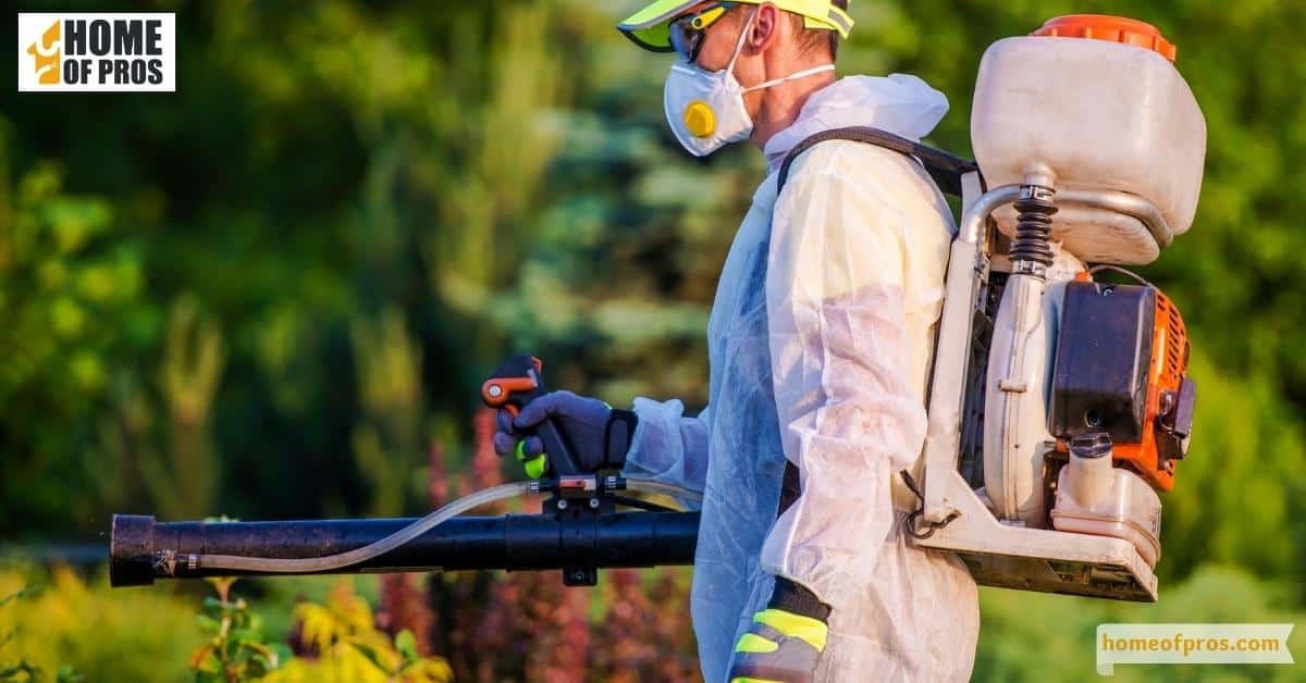 What are the Different Types of Pest Control