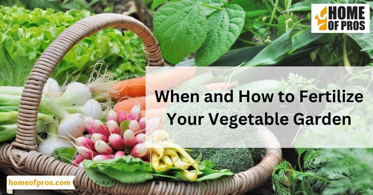 When and How to Fertilize Your Vegetable Garden