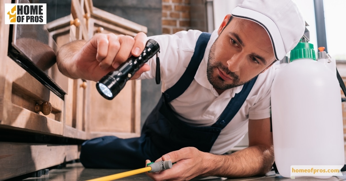 When to Call in a Professional