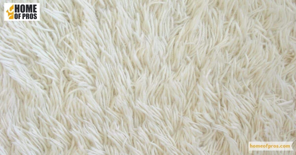 Wool