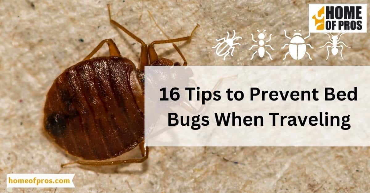 16 Tips to Prevent Bed Bugs When Traveling