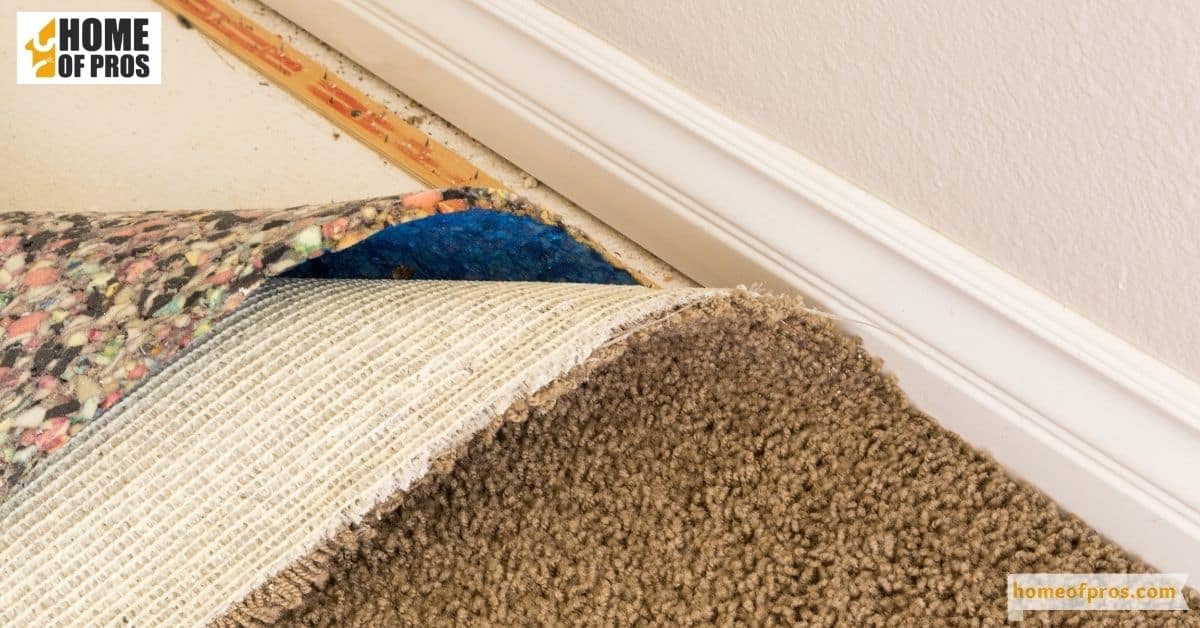 Assessing Carpet Padding and Underlay
