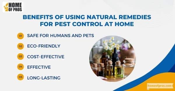 Benefits of Using Natural Remedies for Pest Control at Home