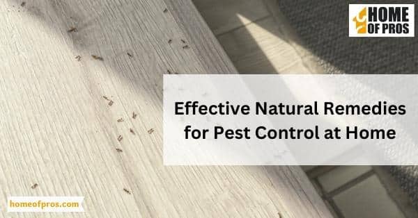 Effective Natural Remedies for Pest Control at Home