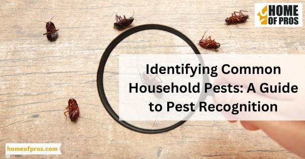 Identifying Common Household Pests_ A Guide to Pest Recognition