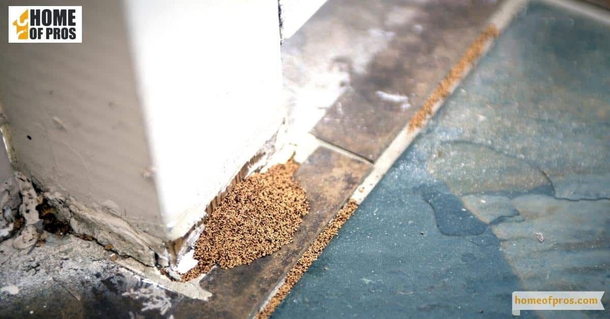 Presence of frass or termite droppings