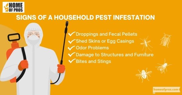 Signs of a Household Pest Infestation