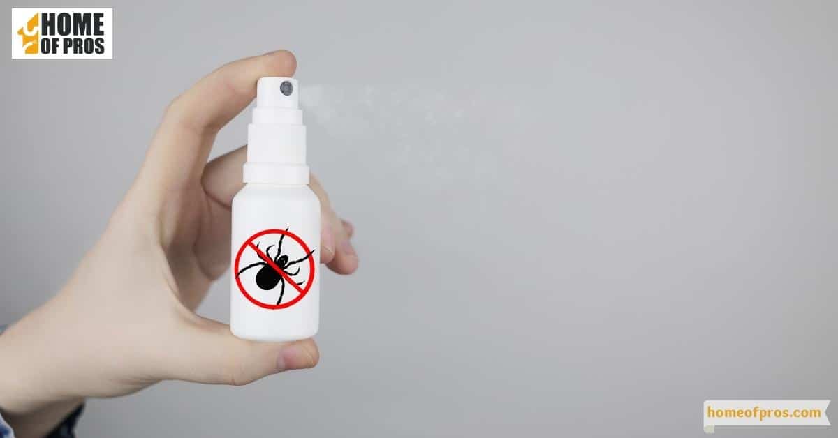 Use a bed bug repellent spray or powder