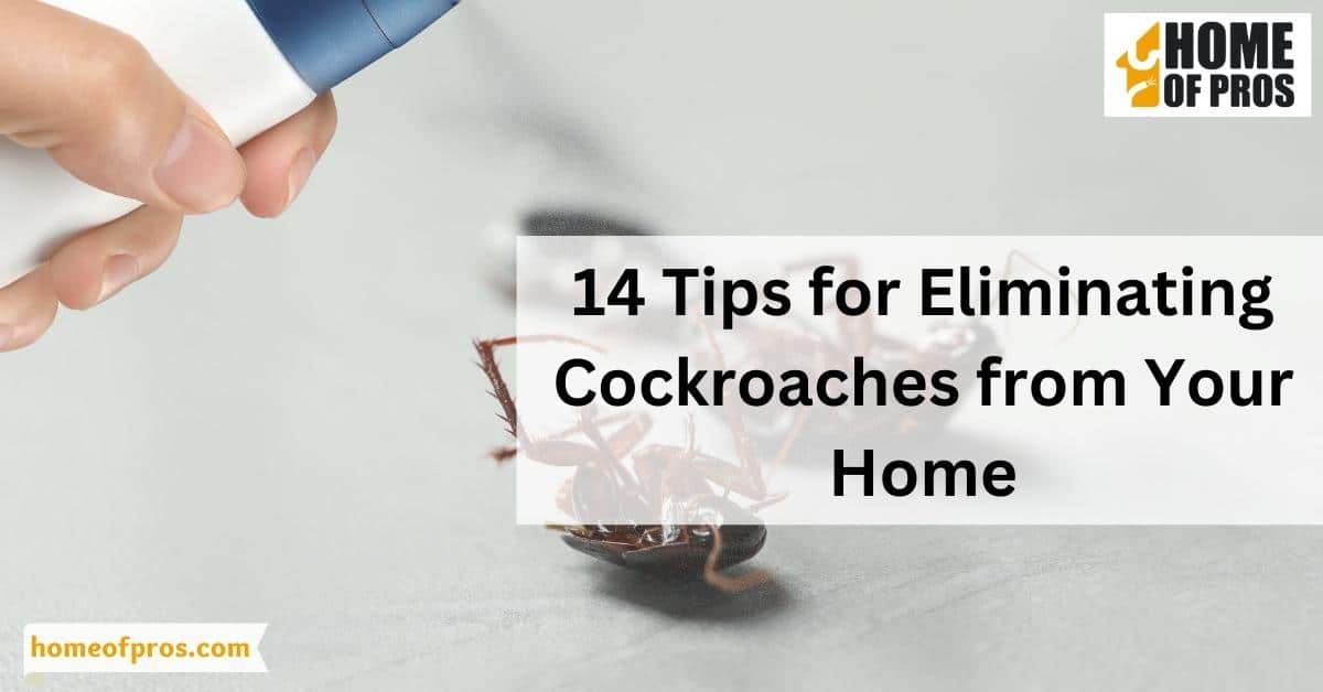14 Tips for Eliminating Cockroaches from Your Home