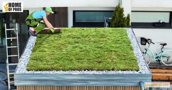 Installation and Maintenance of Green Roofs