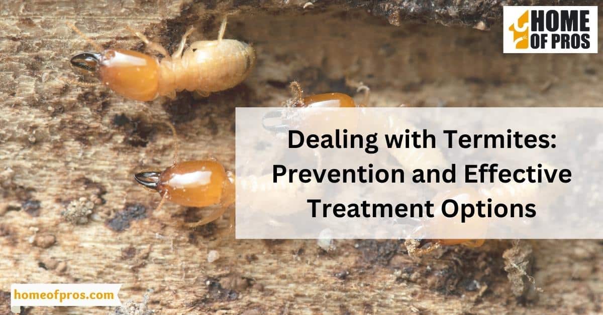 Dealing with Termites: Prevention and Effective Treatment Options