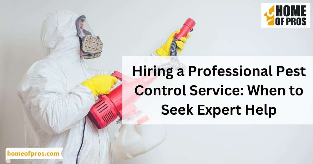 Hiring a Professional Pest Control Service: When to Seek Expert Help