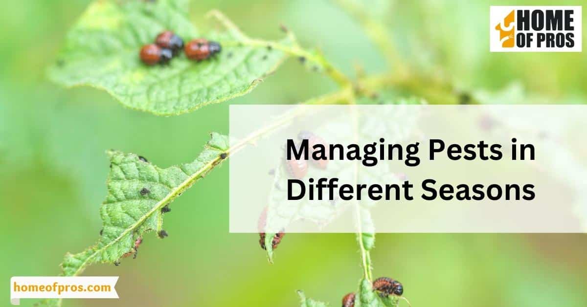 Managing Pests in Different Seasons