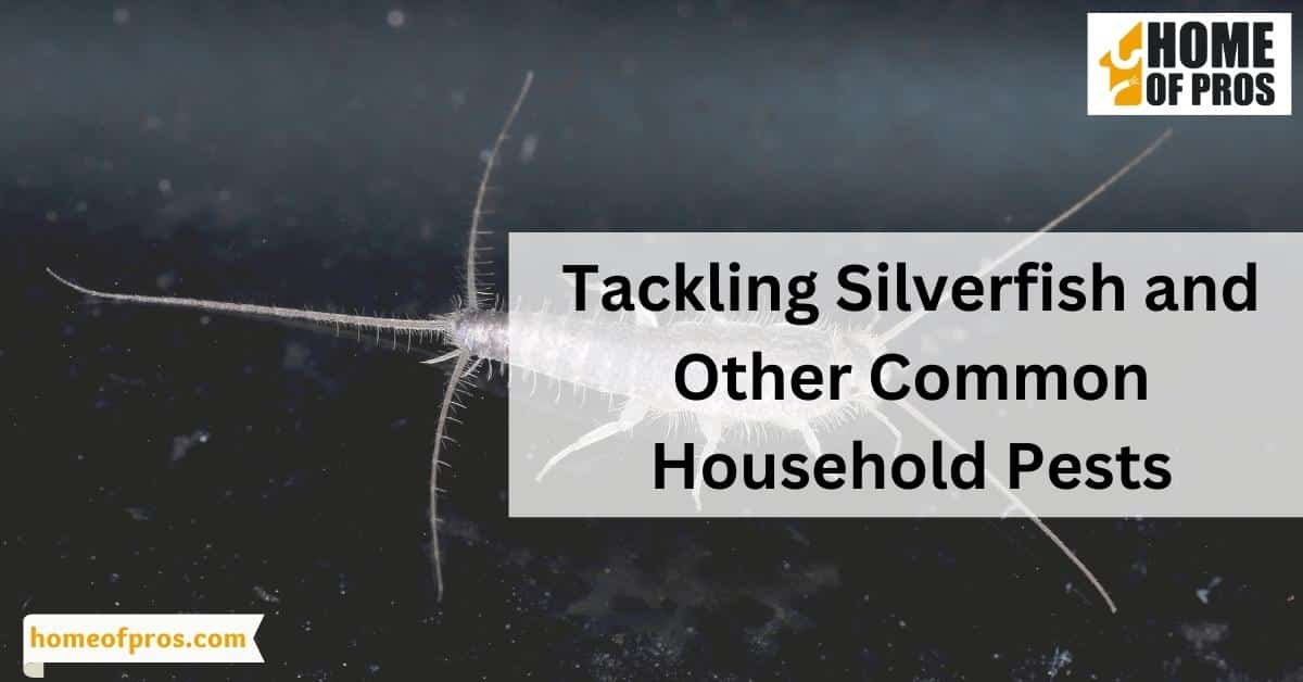 Tackling Silverfish and Other Common Household Pests