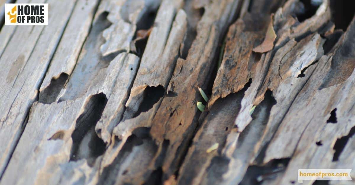 Use Termite-Resistant Wood