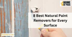 8 Best Natural Paint Removers for Every Surface