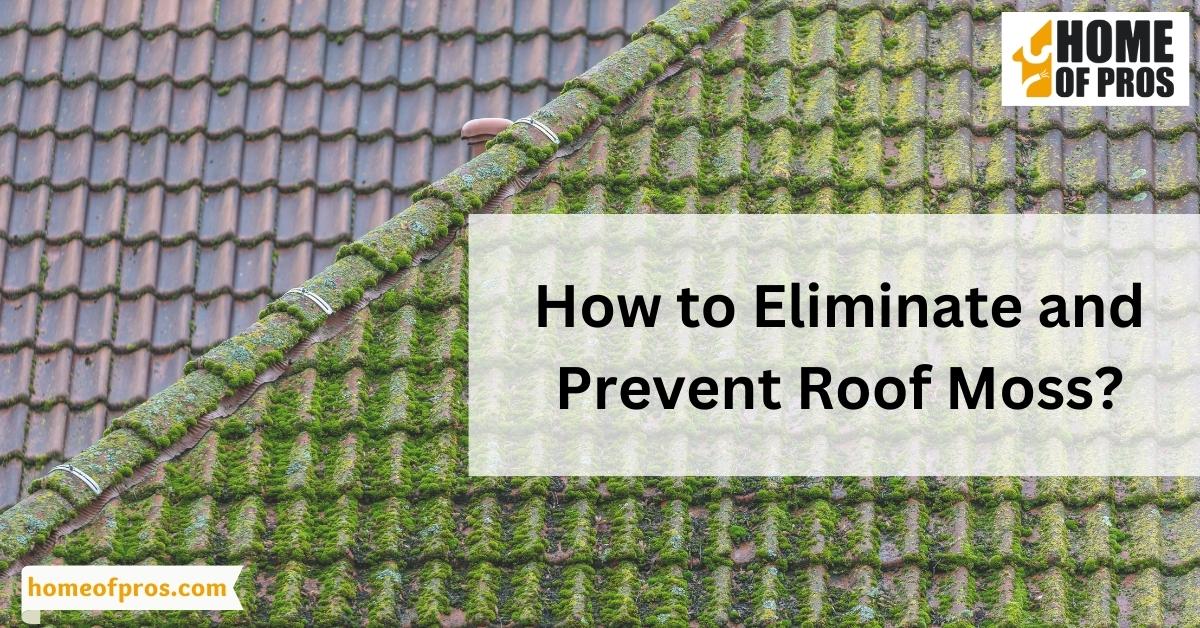 How to Eliminate and Prevent Roof Moss