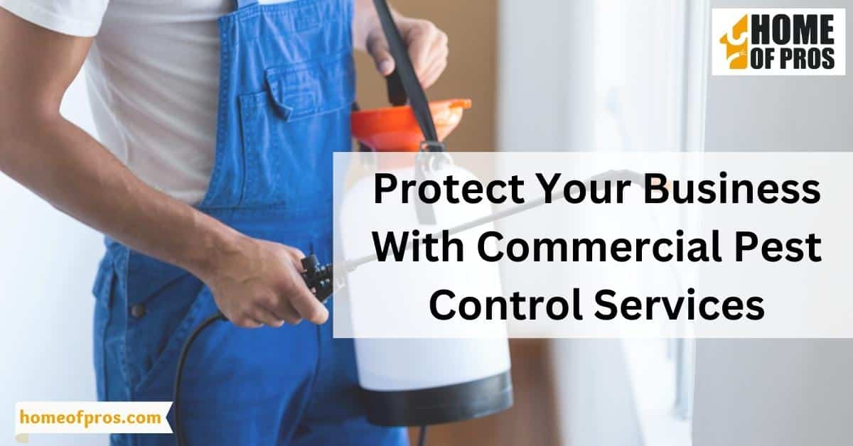 Protect Your Business With Commercial Pest Control Services