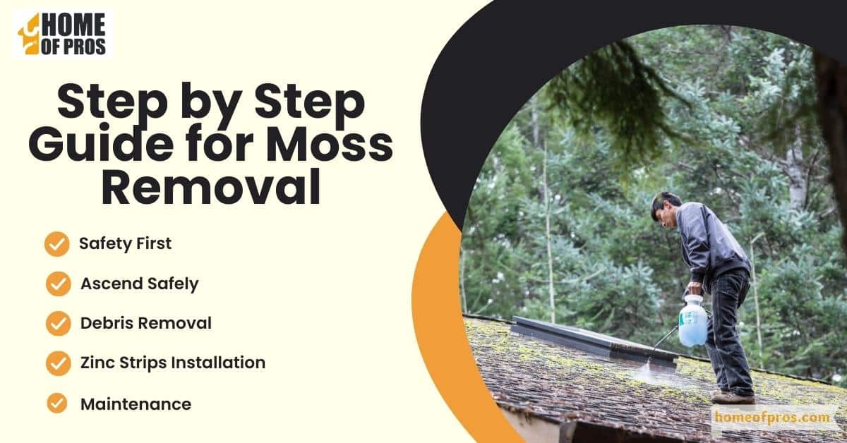 Step-by-Step Guide for Moss Removal