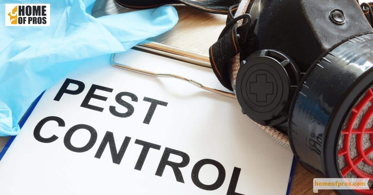  Which Pest Control Service is Right for Your Business