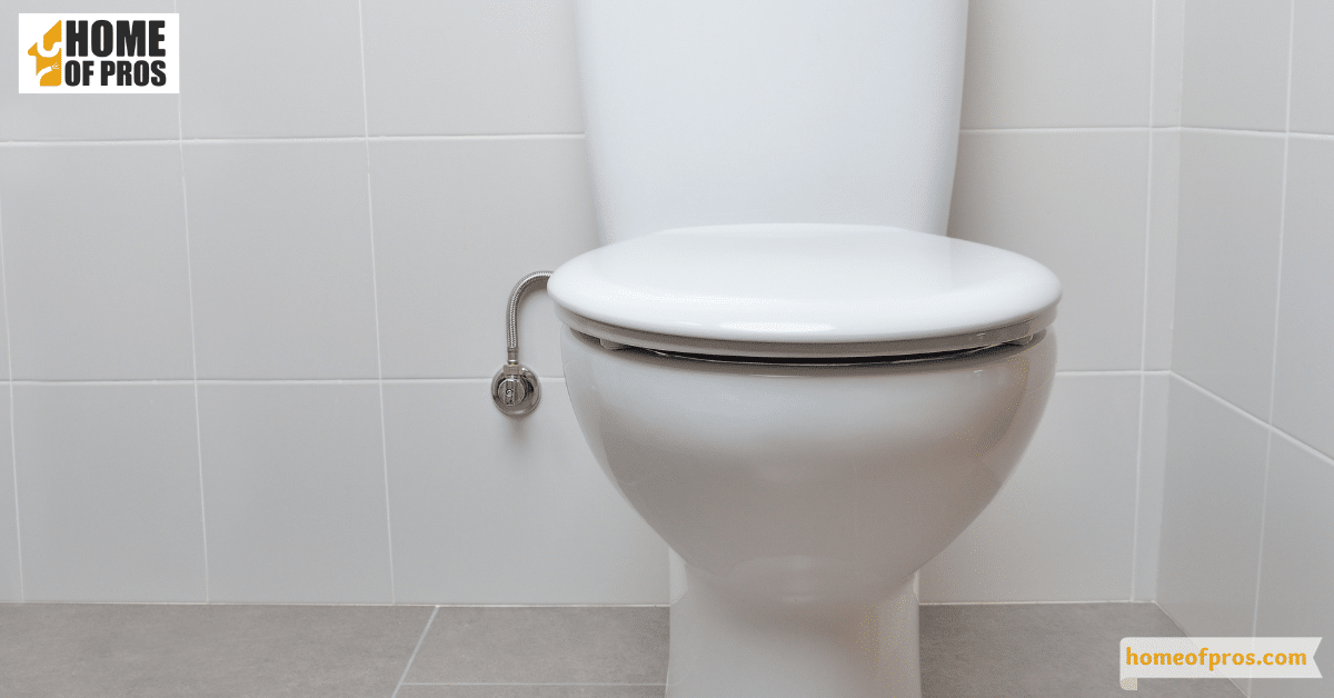 Removing Rust Stains from Toilets Home of Pros